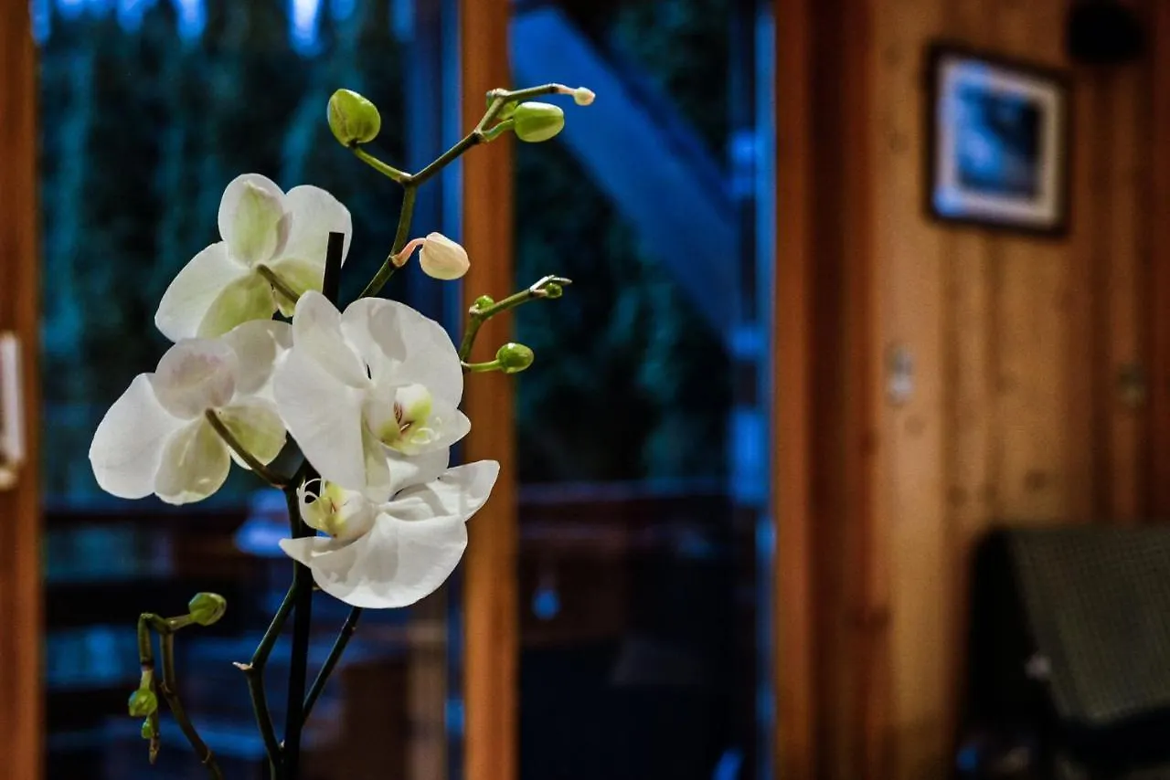 Yeti Lodge Rooms Argentiere Bed & Breakfast